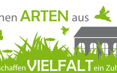 Projekt „Kirchen ARTEN aus“